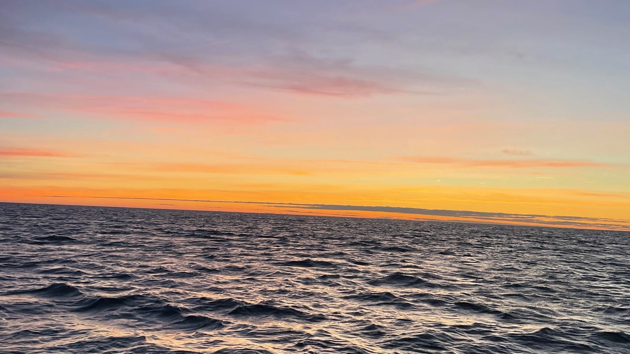 Photo of Others in Les Cabanes de Fleury