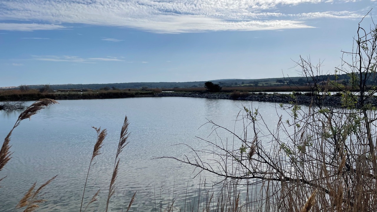 Photo of Others in Les Cabanes de Fleury