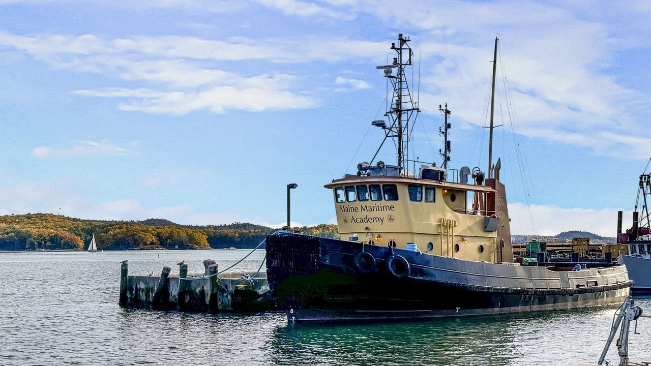 Photo of Others in Castine