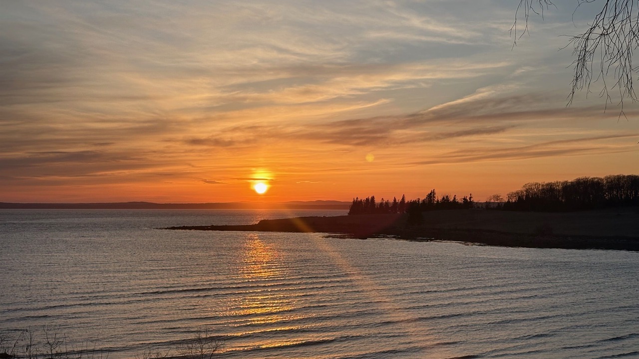 Photo of Others in Castine