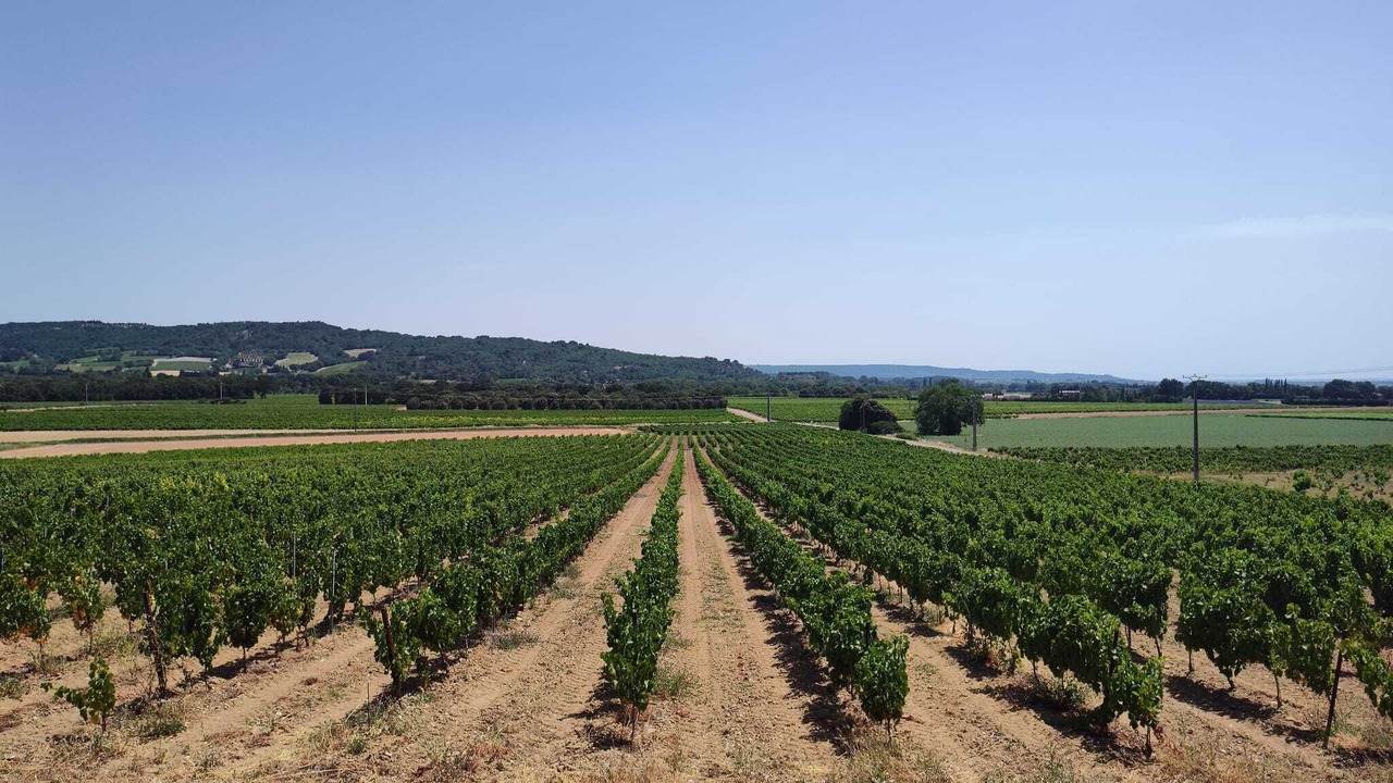 Photo of Others in Visan