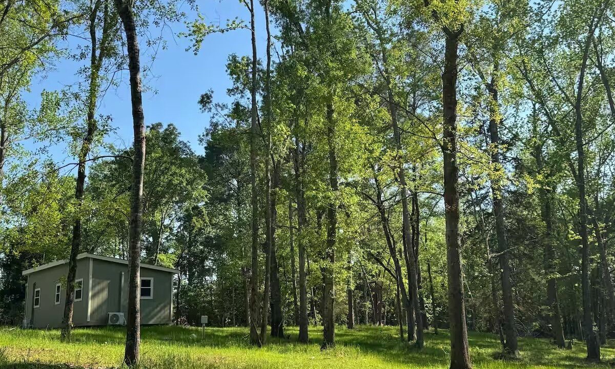 Photo of Outdoor in Anderson County