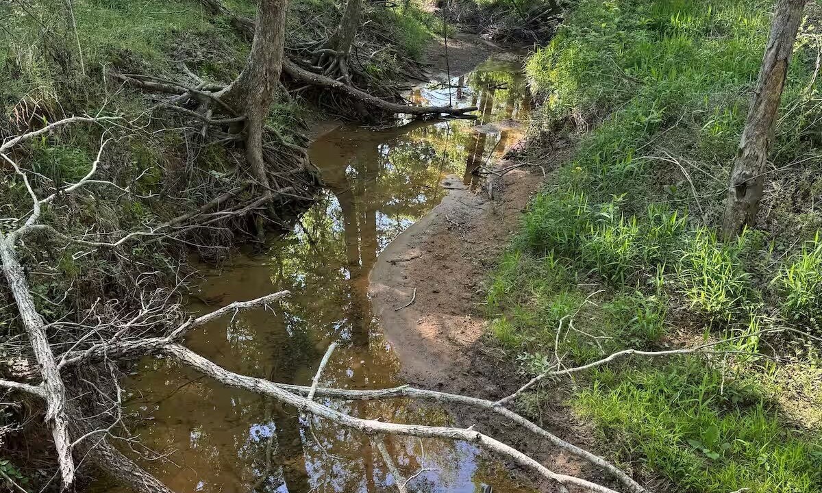 Photo of Others in Anderson County