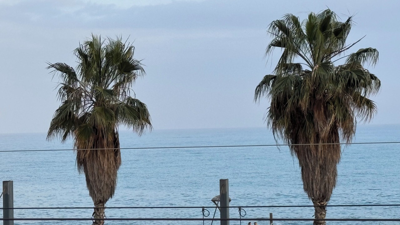 Photo of Others in Canet de Mar