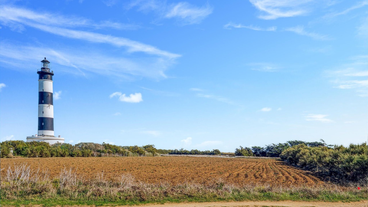 Photo of Others in Dolus-d'Oleron