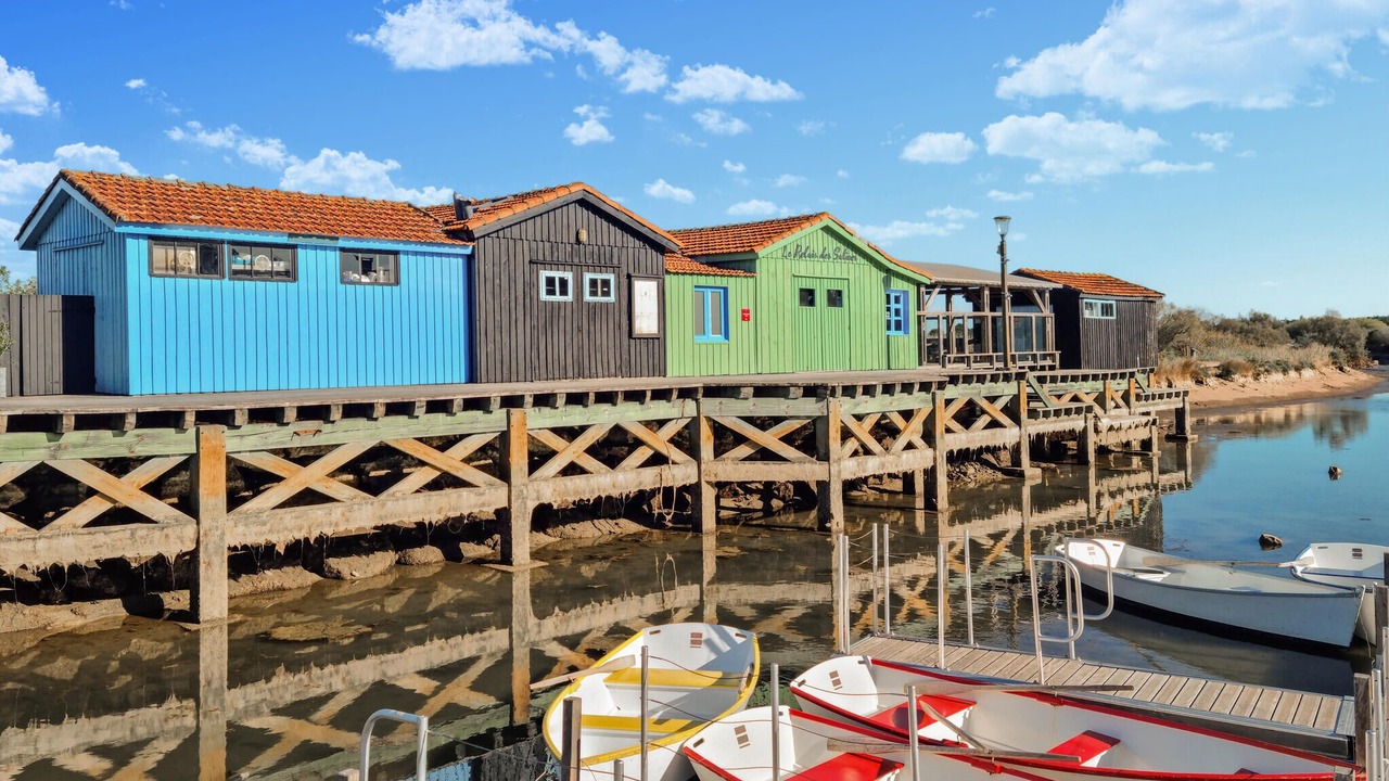 Photo of Others in Dolus-d'Oleron