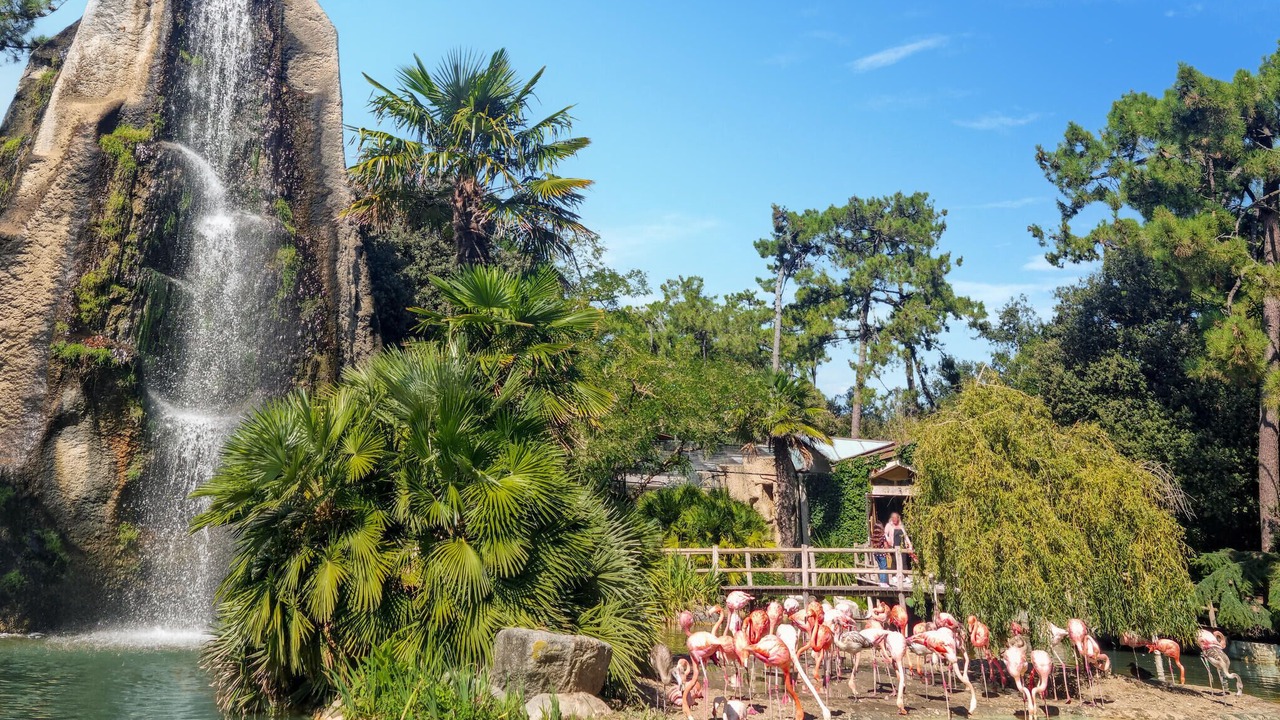 Photo of Others in Dolus-d'Oleron