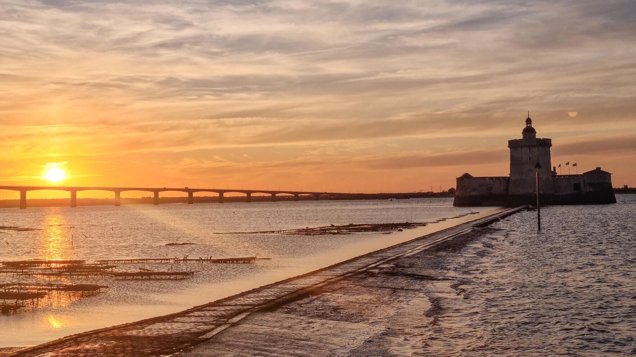 Photo of Others in Dolus-d'Oleron