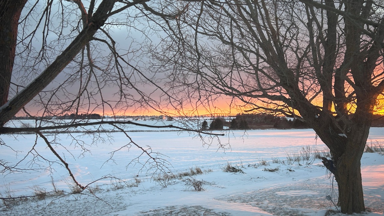 Photo of Others in Borden-Carleton