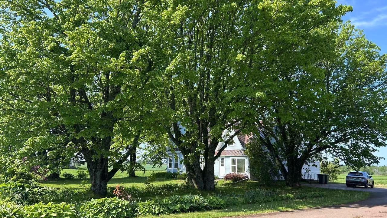 Photo of Outdoor in Borden-Carleton