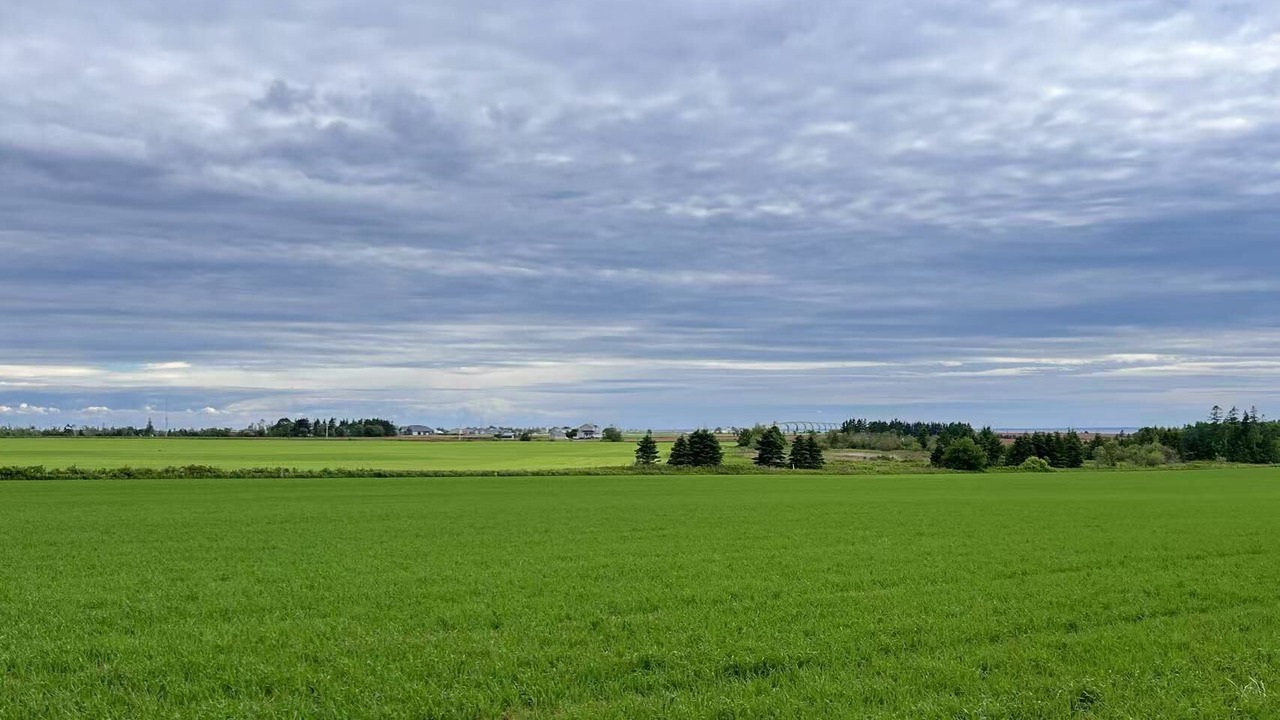 Photo of Others in Borden-Carleton