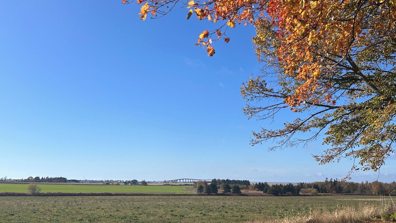Photo of Others in Borden-Carleton