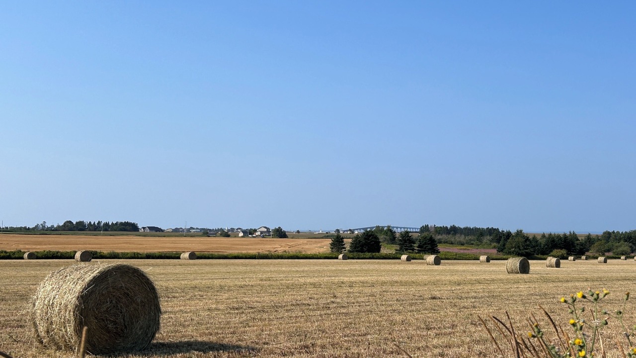 Photo of Others in Borden-Carleton