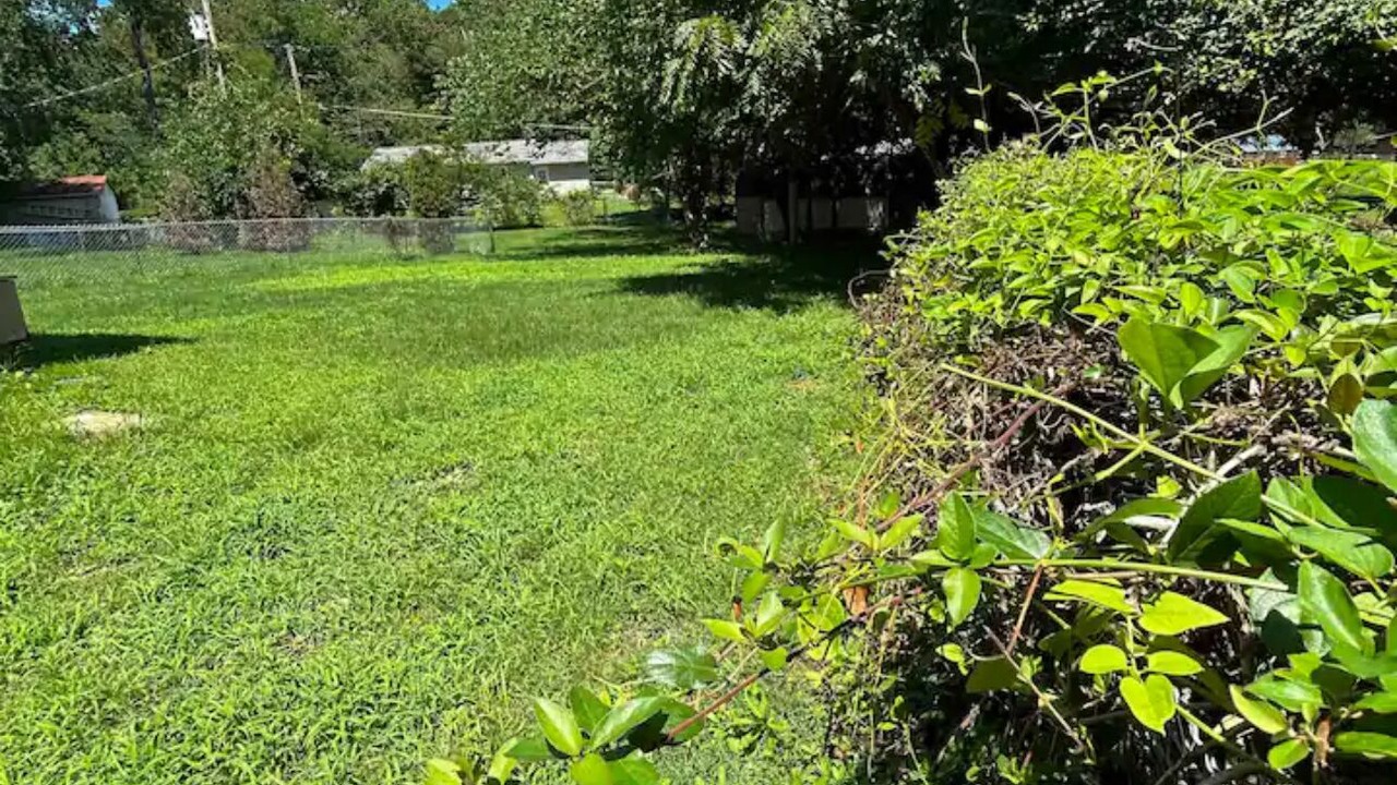 Photo of Outdoor in Waynesville