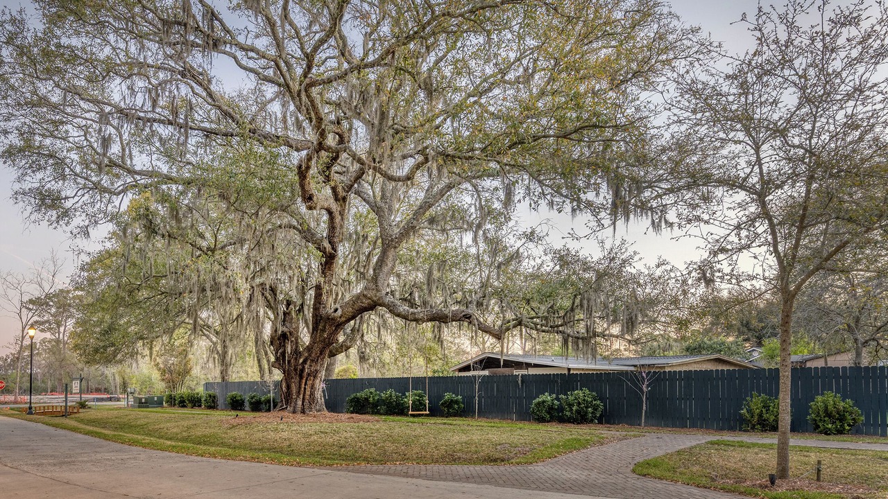 Photo of Outdoor in Palmetto Dunes
