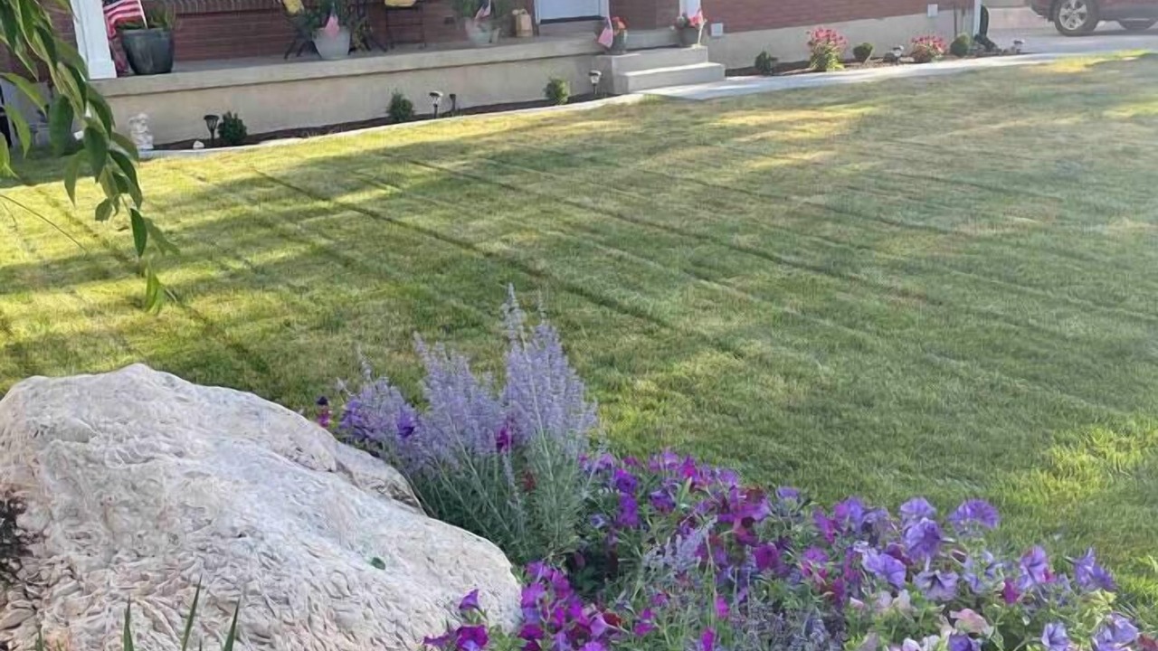 Photo of Outdoor in Murray