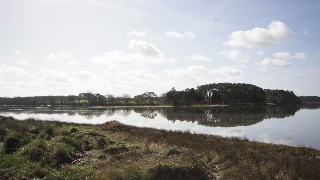 Photo of Others in Locoal-Mendon