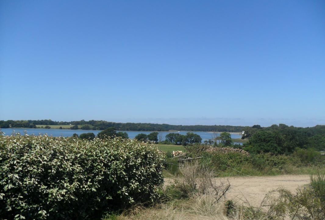 Photo of Others in Locoal-Mendon