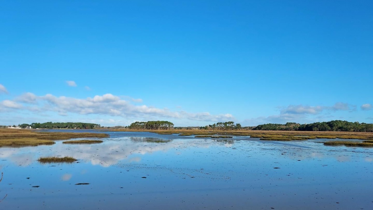 Photo of Others in Locoal-Mendon