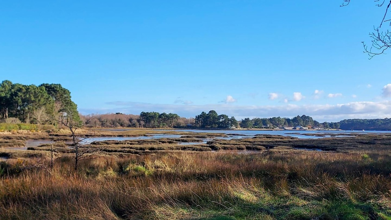 Photo of Others in Locoal-Mendon