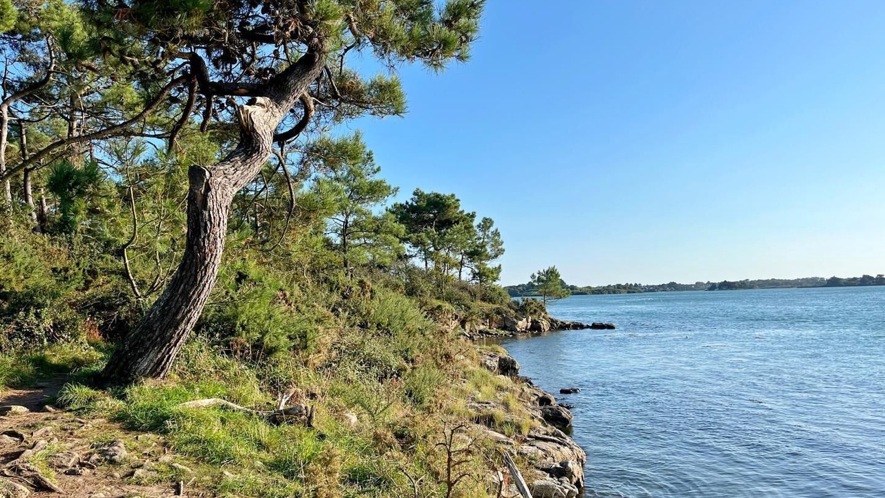 Photo of Others in Locoal-Mendon