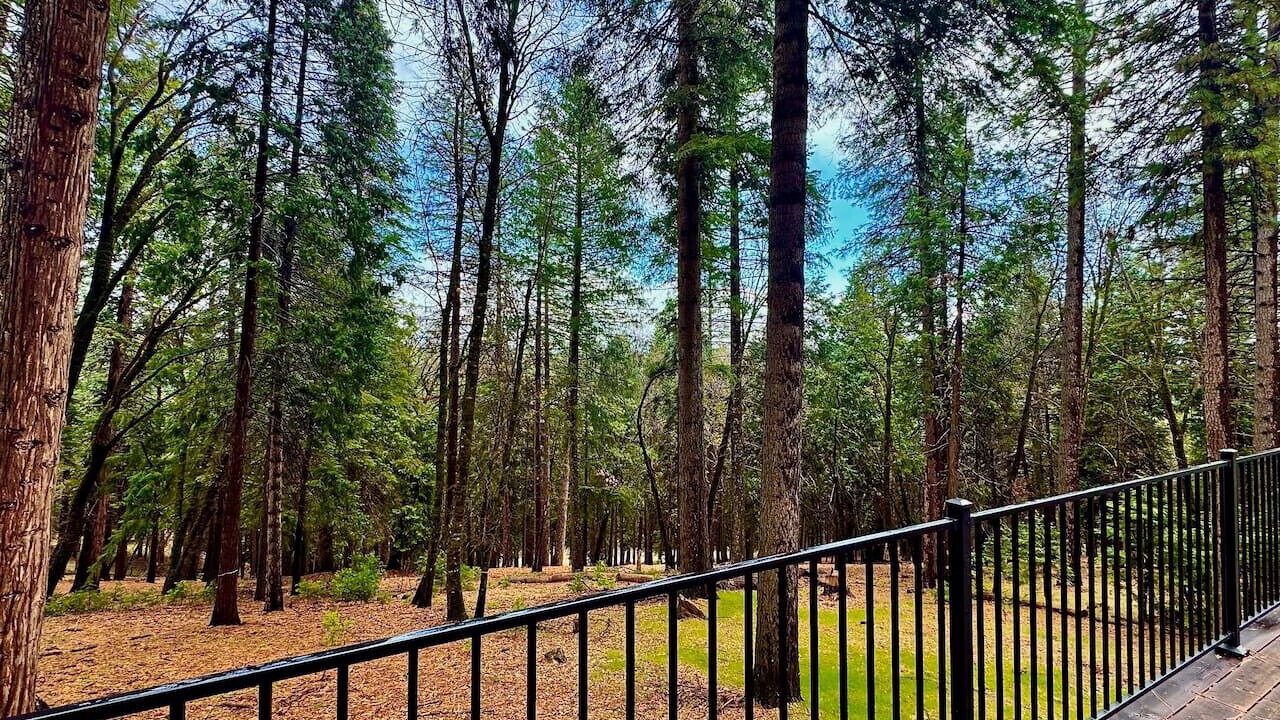 Photo of Outdoor in Pollock Pines