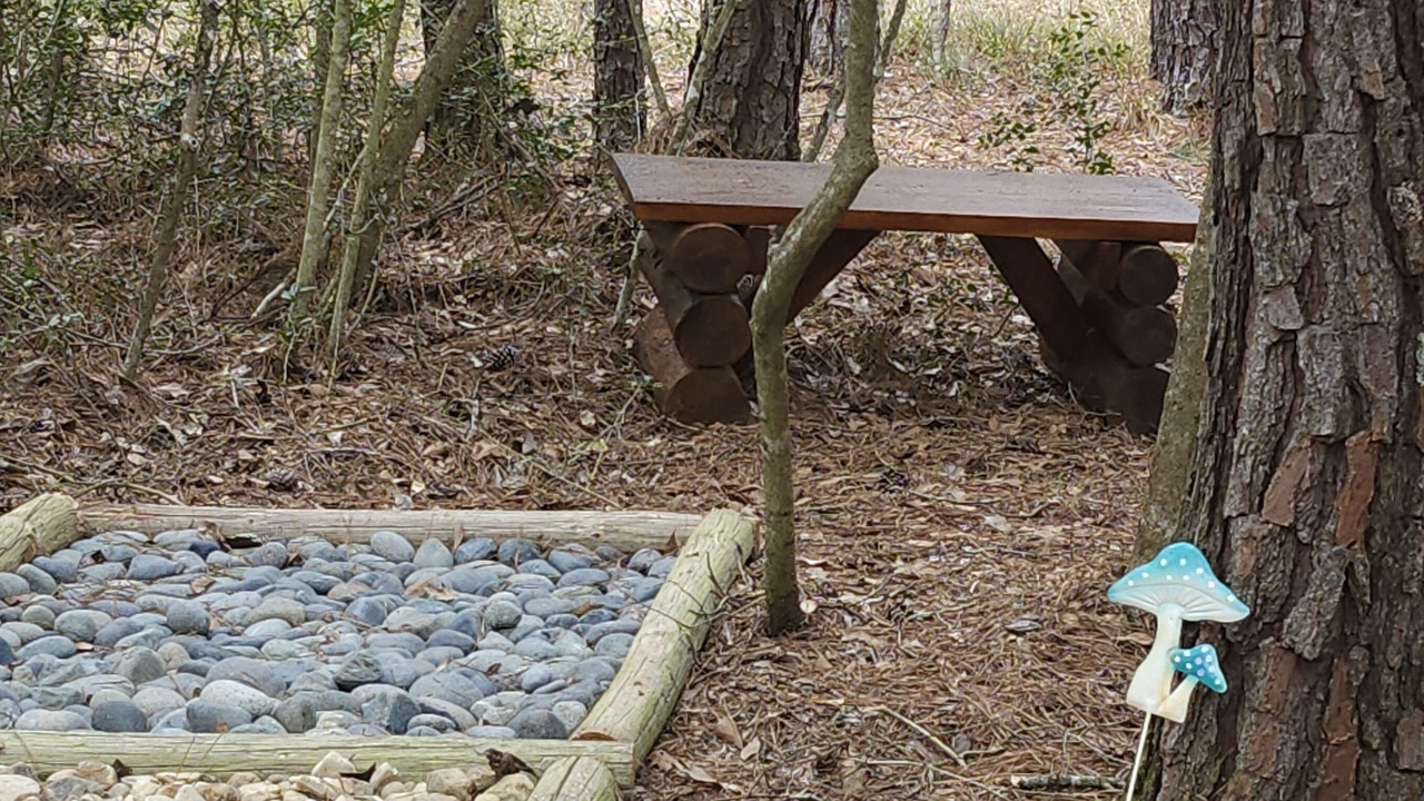 Photo of Outdoor in Conroe