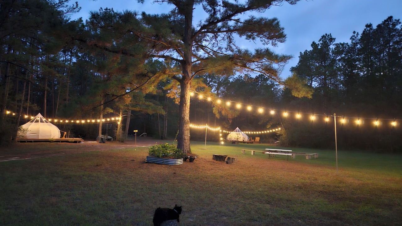 Photo of Outdoor in Conroe