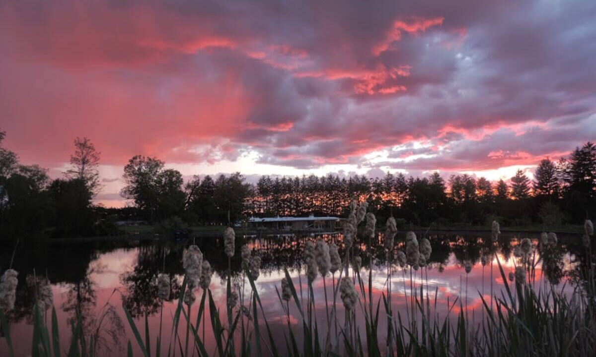 Photo of Others in Boalsburg