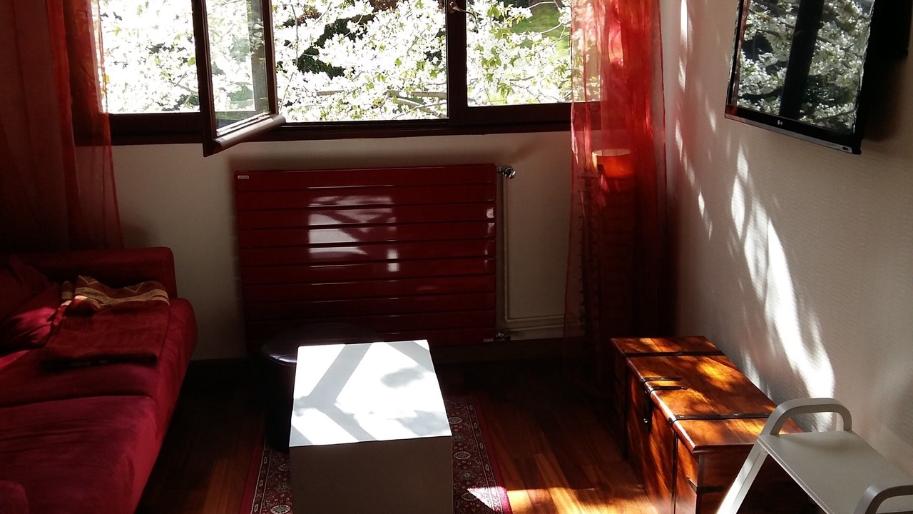 Photo of Livingroom in Clamart