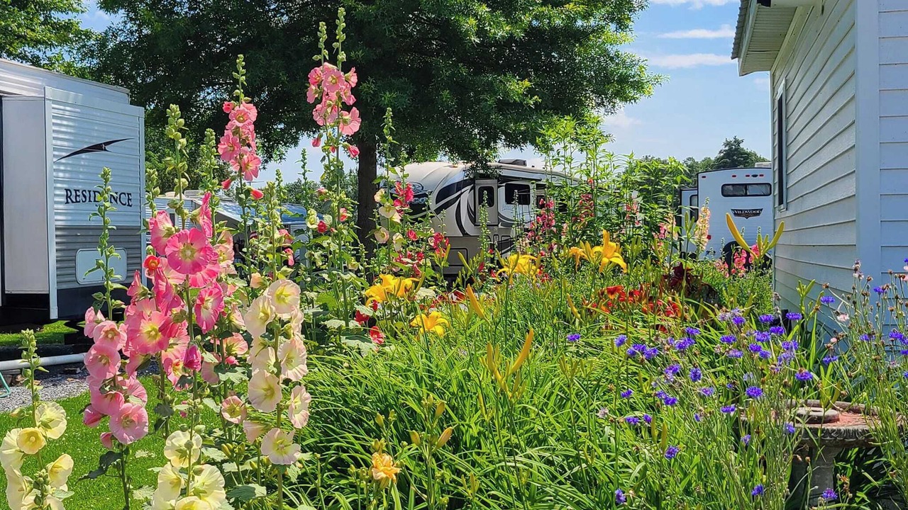 Photo of Outdoor in Vergennes
