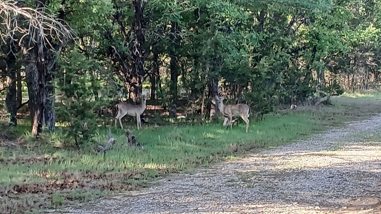 Photo of Others in Gordon