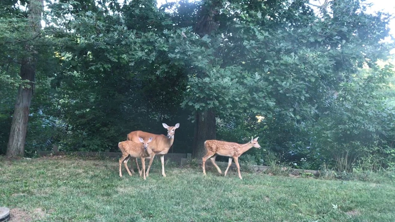 Photo of Others in South Bend