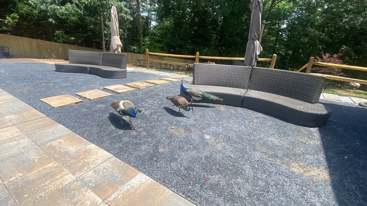Photo of Outdoor in Austell