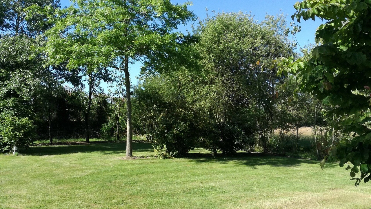 Photo of Others in Apremont