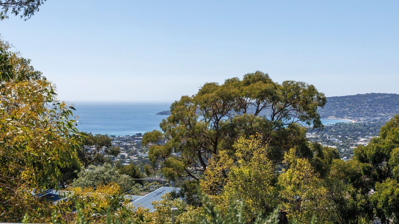 Photo of Others in Dromana