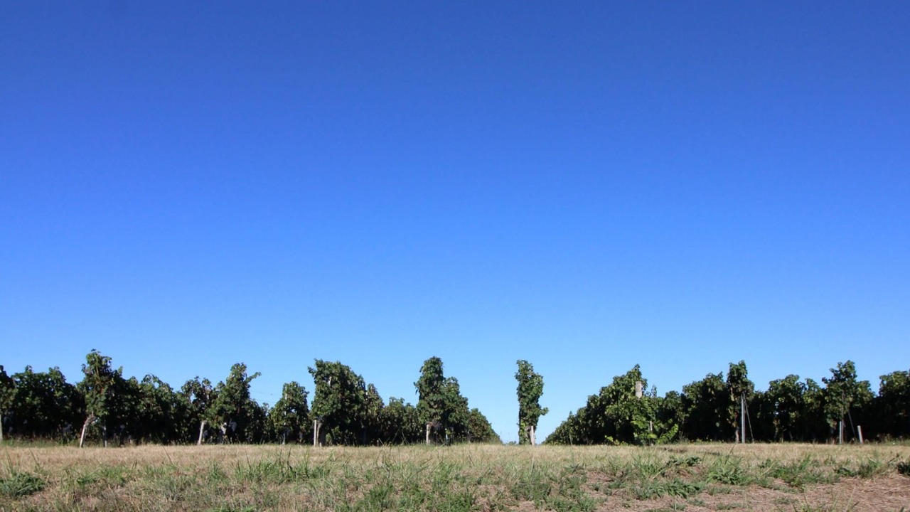 Photo of Others in Arveyres