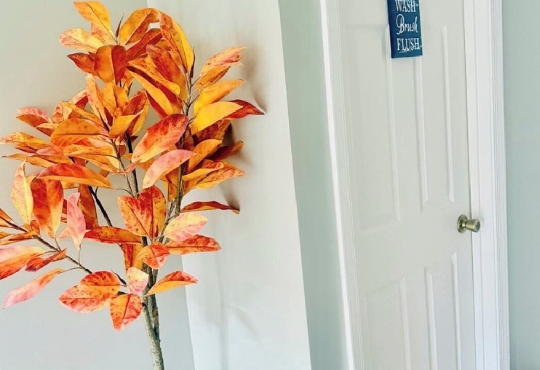 Photo of Others in Arnold