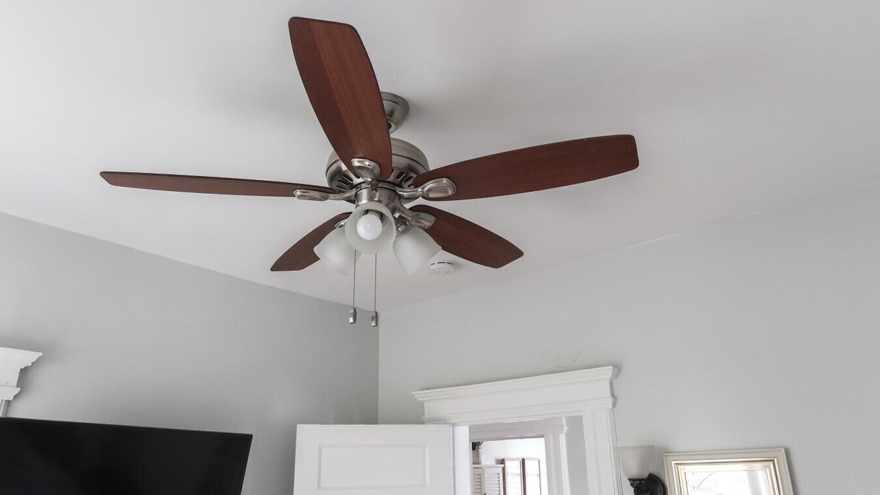 Photo of Others in West Orange