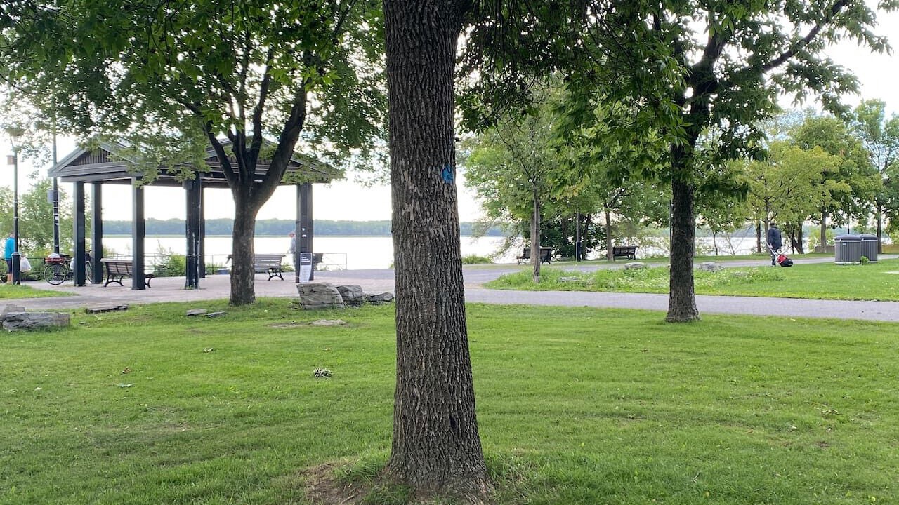 Photo of Outdoor in Bellerive