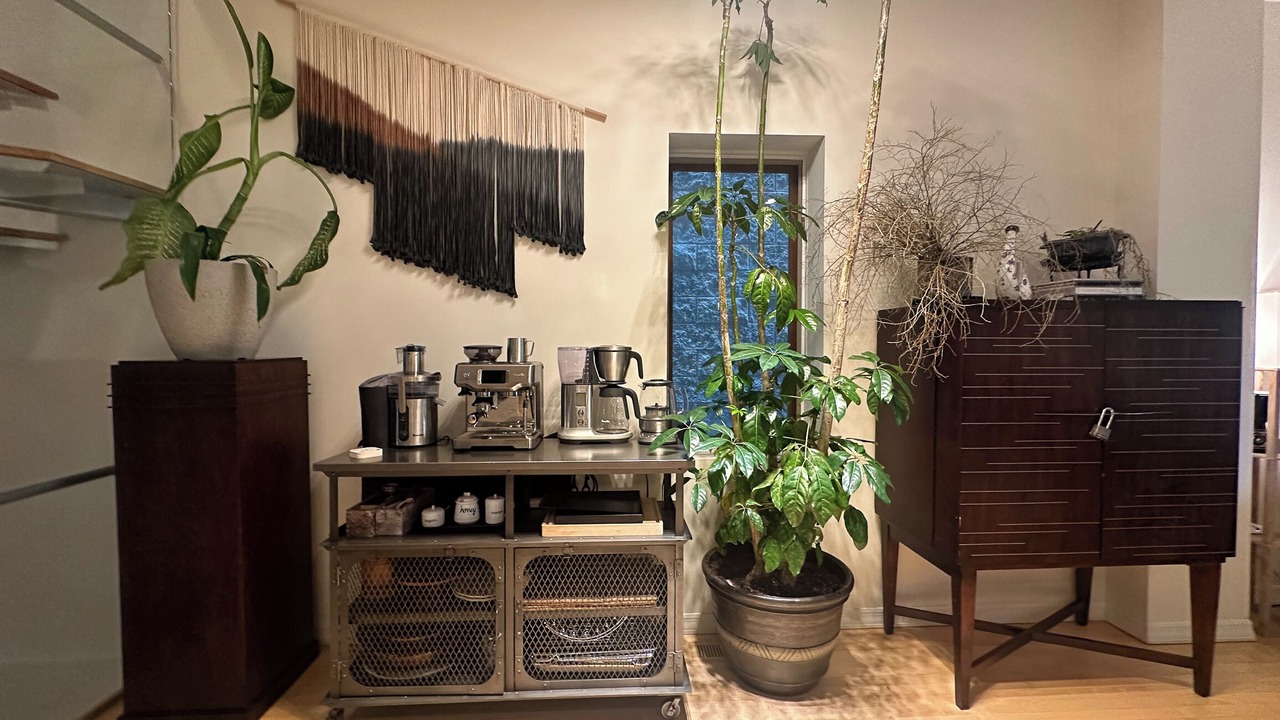 Photo of Others in Gold Coast