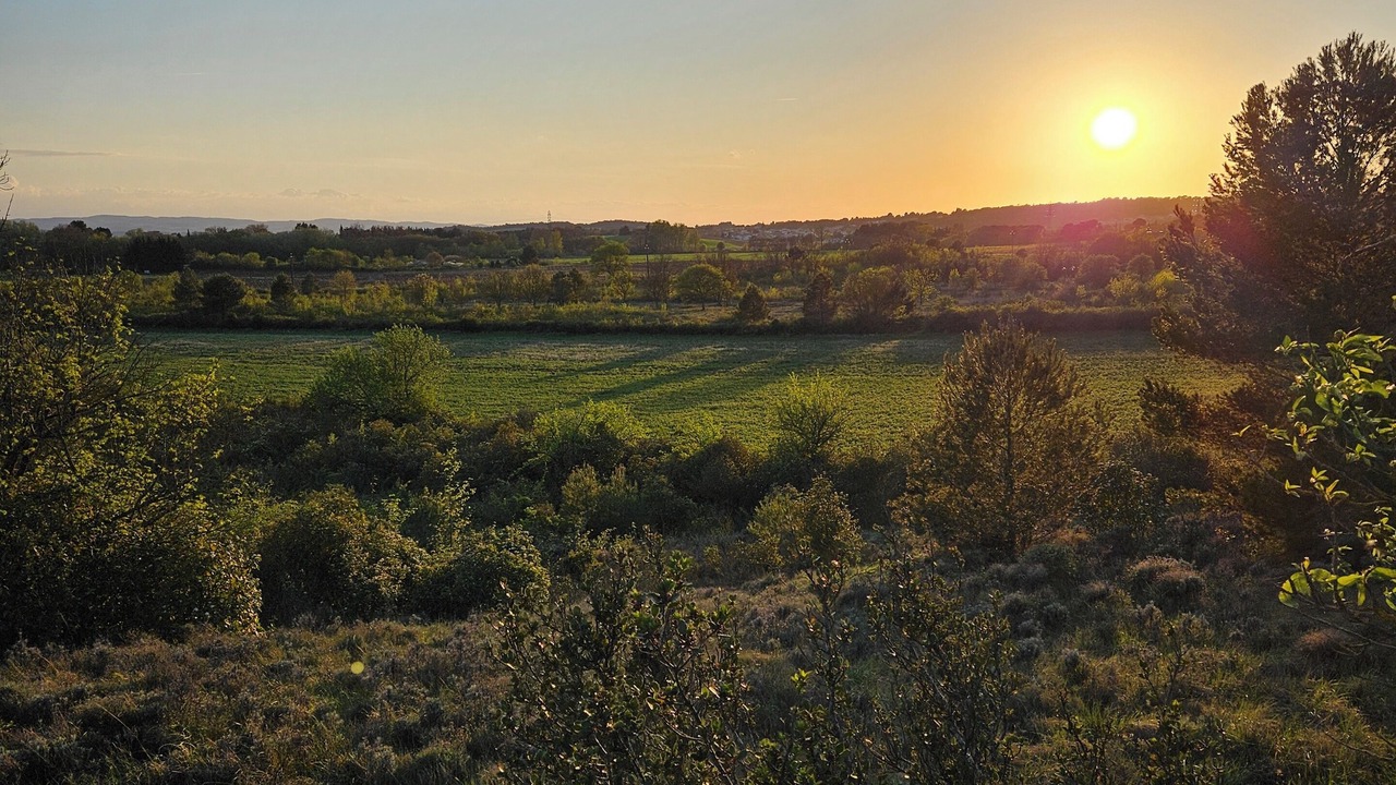 Photo of Others in Villemoustaussou