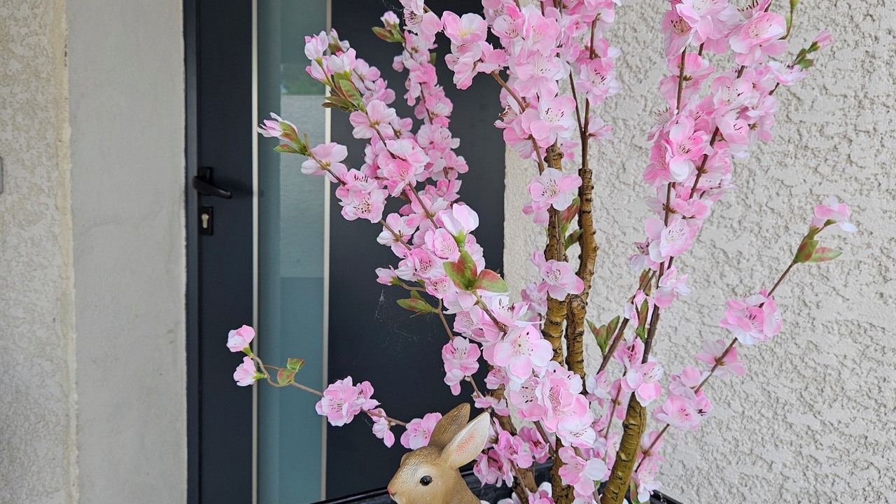 Photo of Outdoor in Villemoustaussou