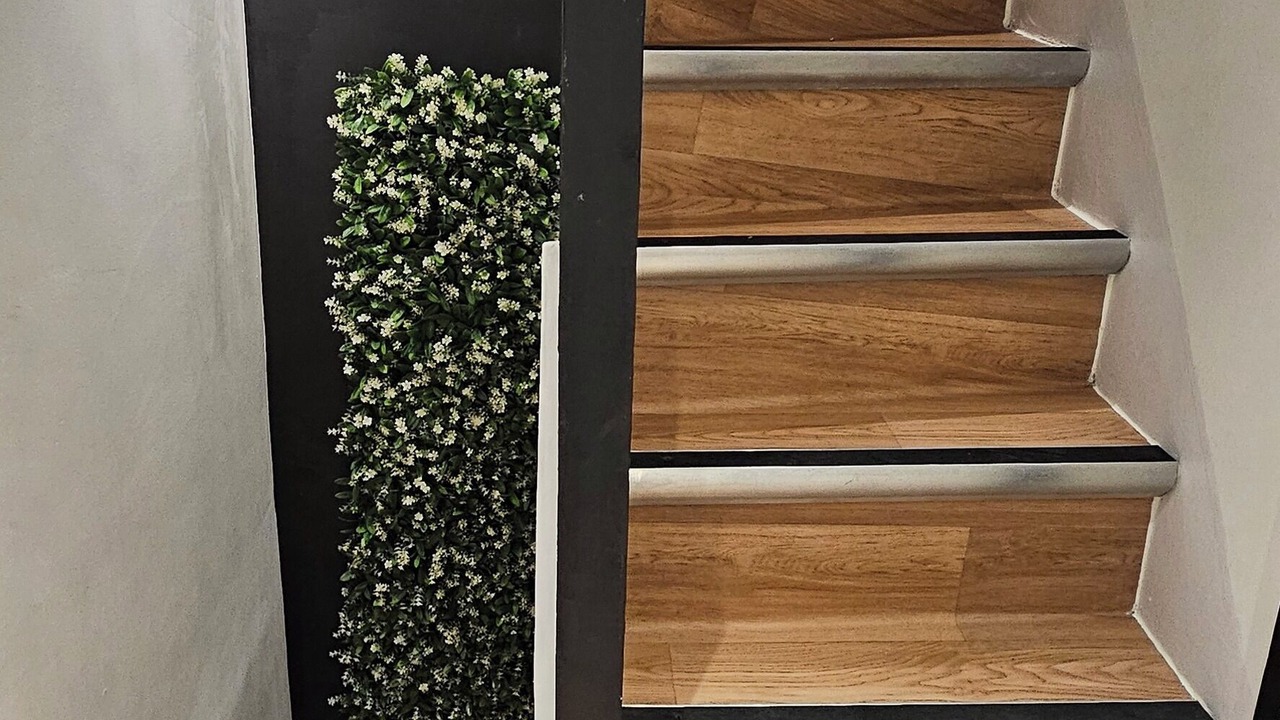 Photo of Others in Saint-Leu