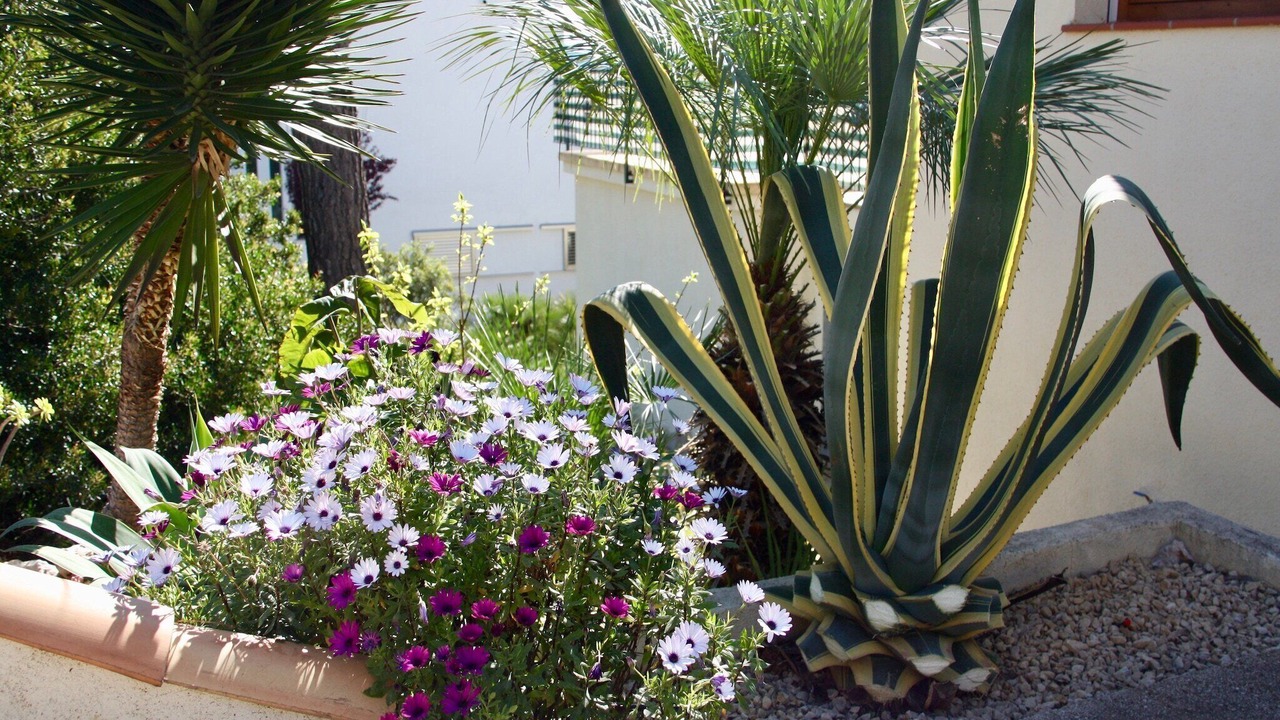 Photo of Outdoor in Adsubia