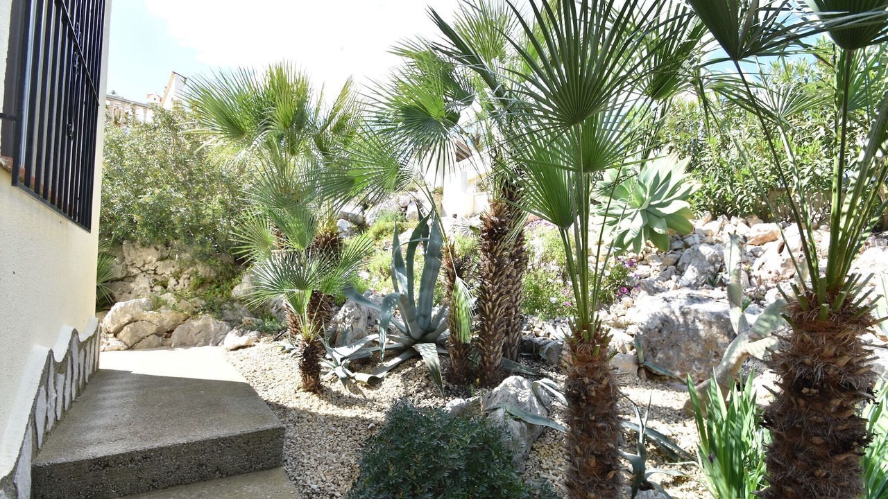 Photo of Outdoor in Adsubia