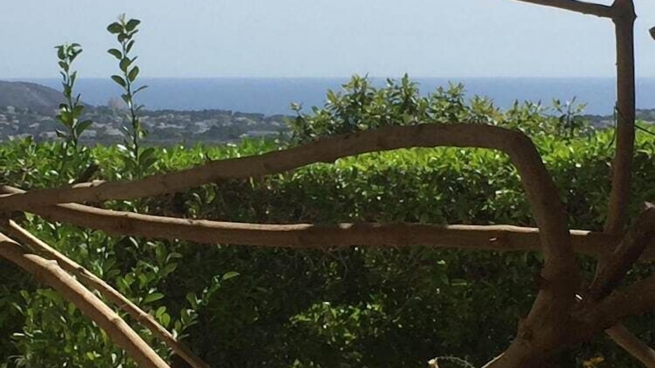 Photo of Patio Balcony in Teulada