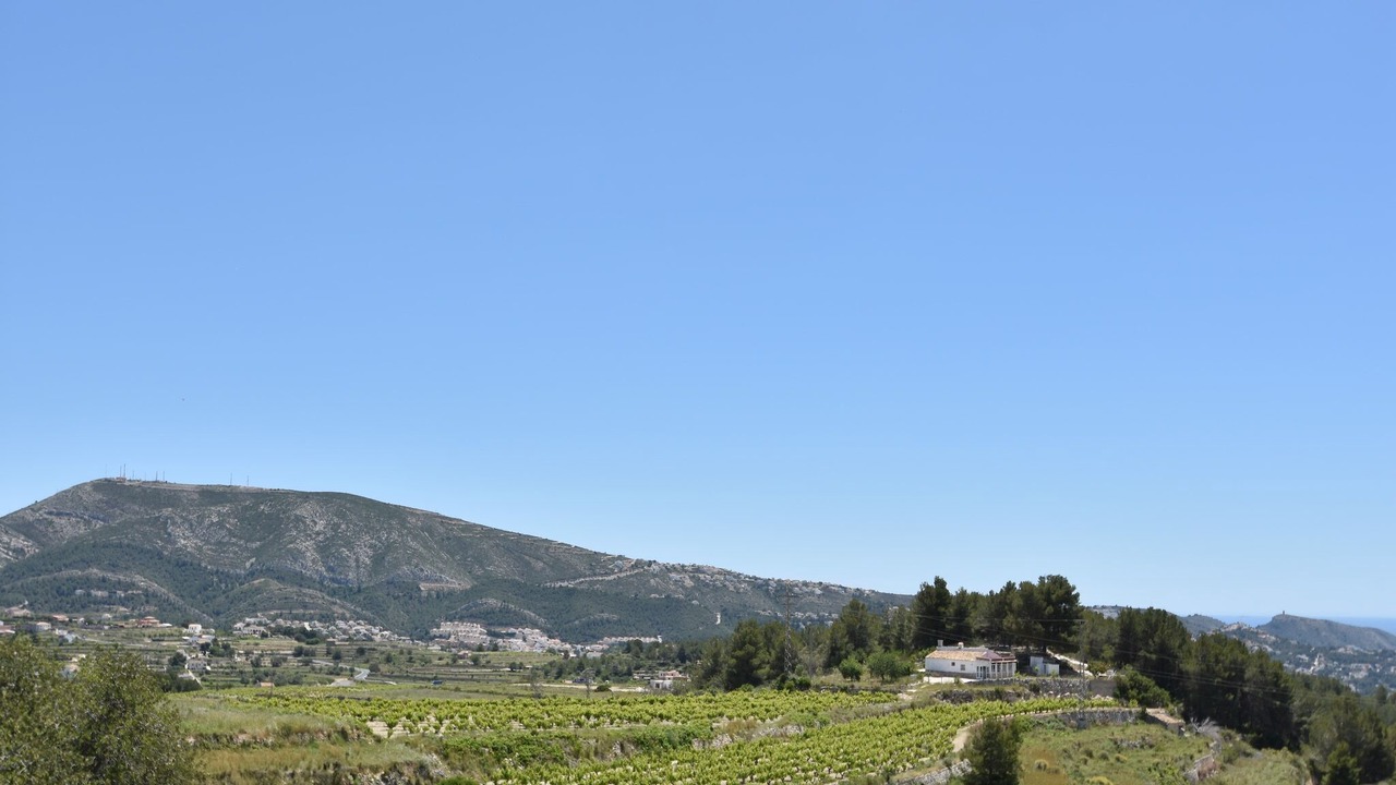 Photo of Others in Teulada