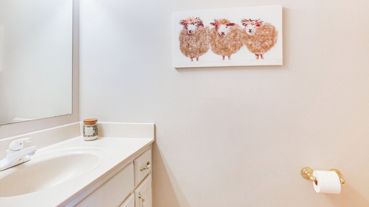 Photo of Bathroom in Warrensburg