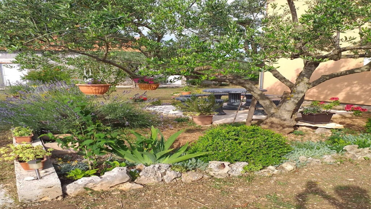 Photo of Outdoor in Bristane